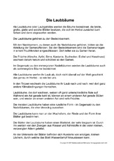 Fehlerlesen-Laubbäume-Text.pdf